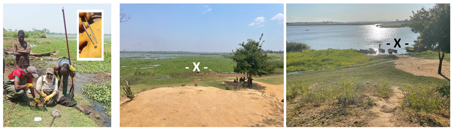 Snail collecting images with a focus upon Chikwawa 1 location where a single shell of Biomphalaria was found within the oxbow lake. This oxbow is now heavily colonised by water hyacinth, choking the shoreline designated "-X-" whereas previously, it was much clearer of this invasive water plant. Snail collecting images with a focus upon Chikwawa 1 location where a single shell of Biomphalaria was found within the oxbow lake.This oxbowis now heavily colonised by water hyacinth, choking the shoreline designated "-X-" whereas previously, it was much clearer of this invasive water plant.